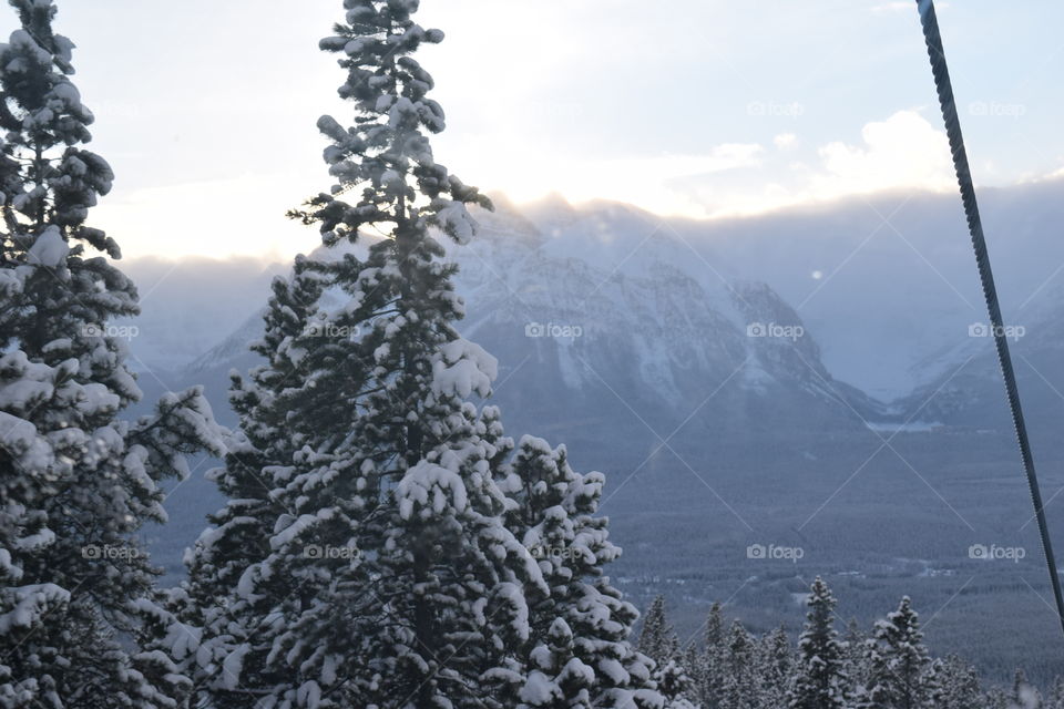 Scenic view of frozen trees and mountains