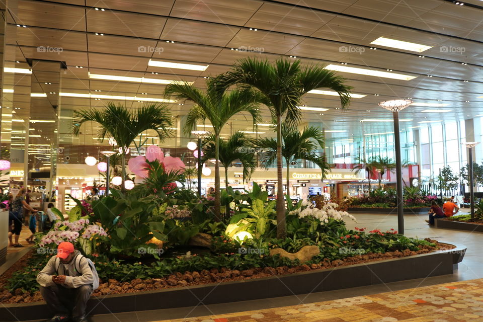 Singapore airport 