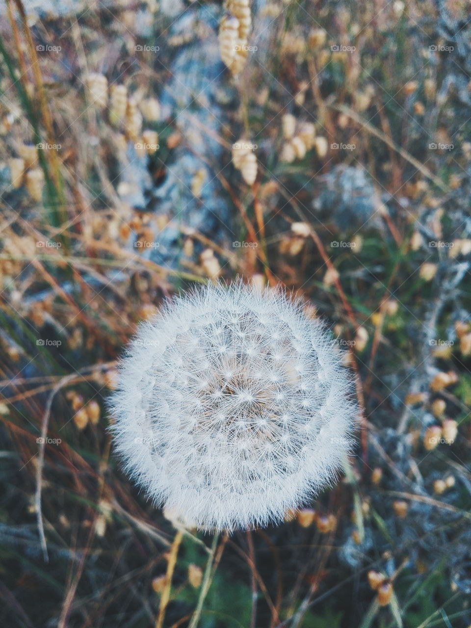 natural symmetry . exploration and adventuring 