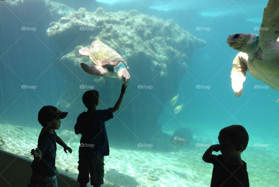 people fun water fish by hkjohan