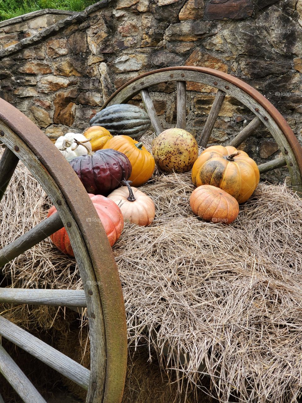 Fall colored pumpkins on antique cart