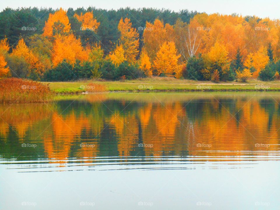 Lake, Fall, Reflection, Water, River