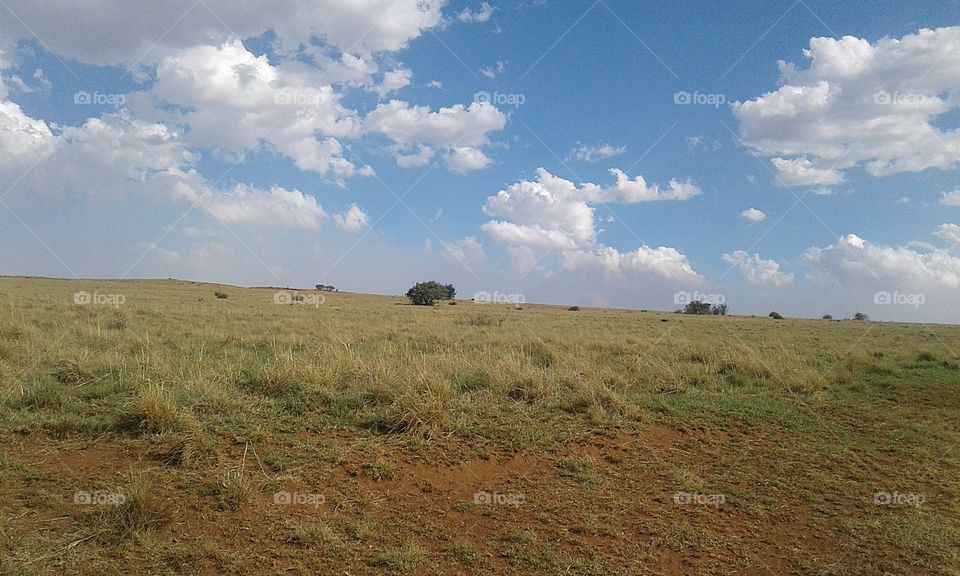 Krugersdorp Game Reserve