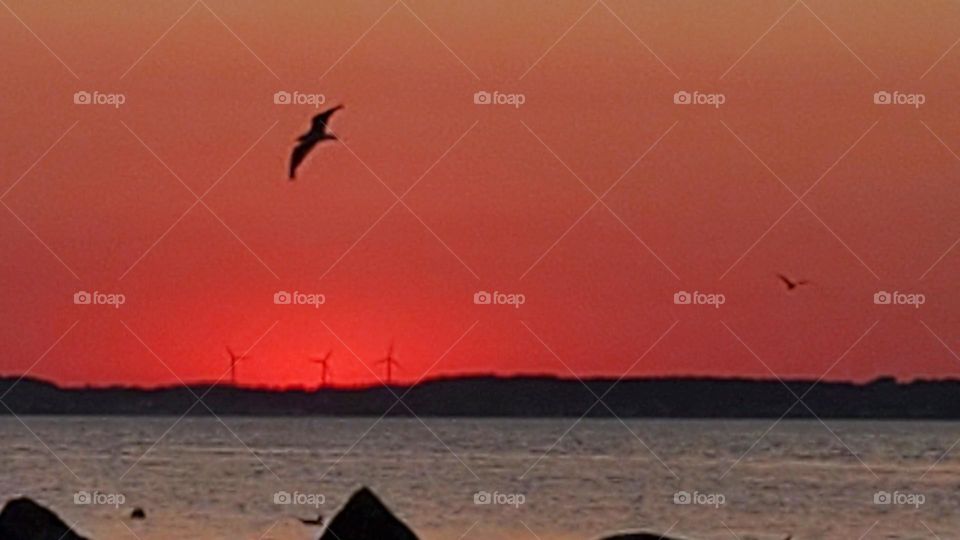 Sonnenuntergang am strand