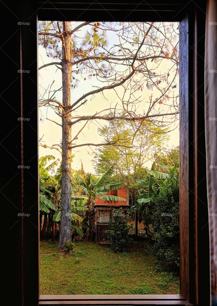 View from the window