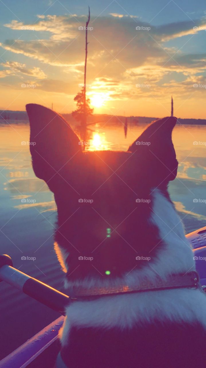 Roxi kayaking in the sunset