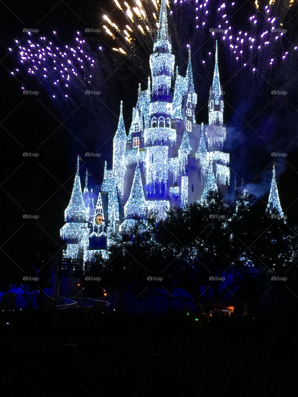 WDW at Christmas Fire Works