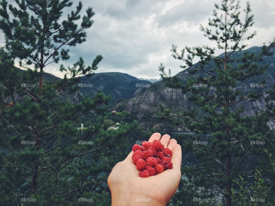 Tree, Nature, Outdoors, Landscape, Fruit