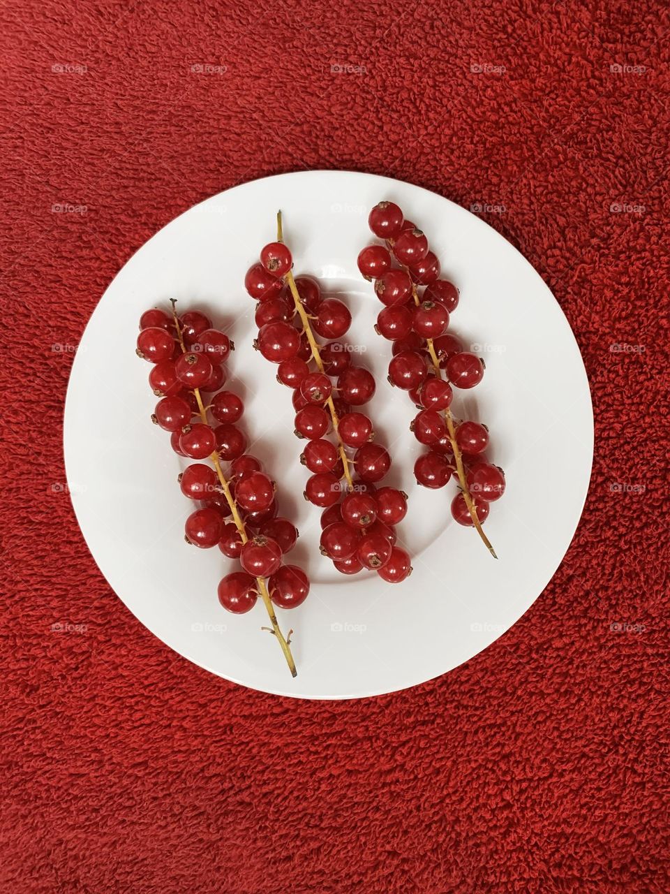 Red currant berry 