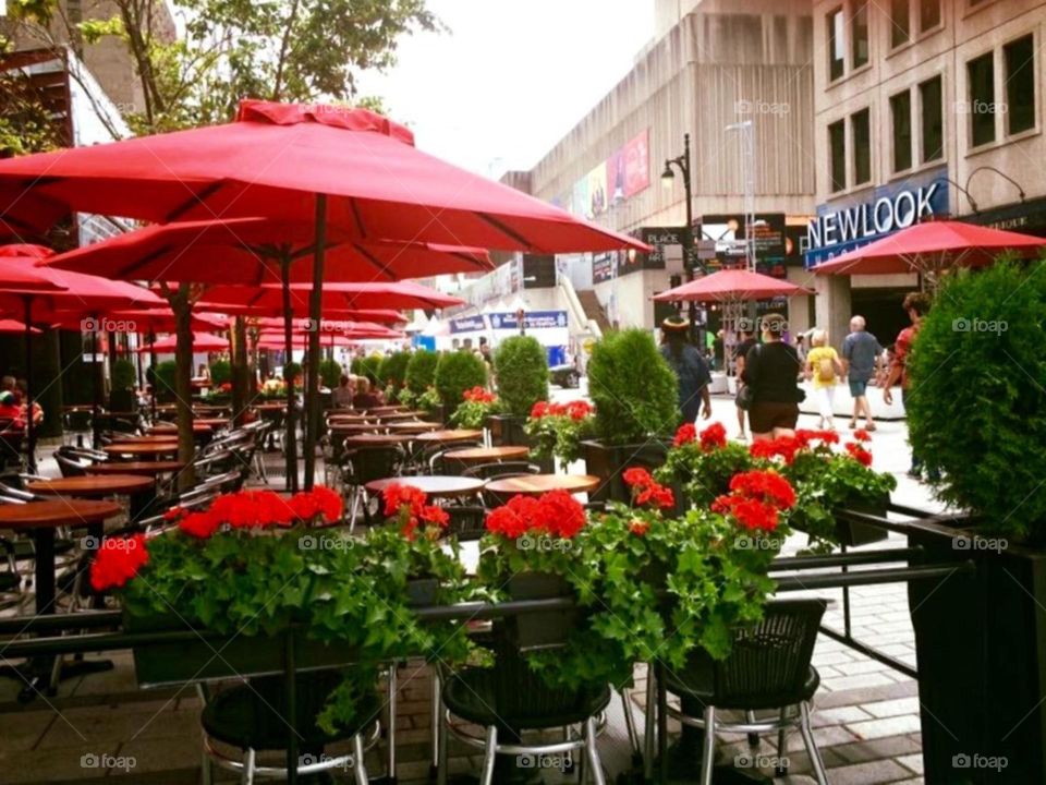 red flowers in the street 