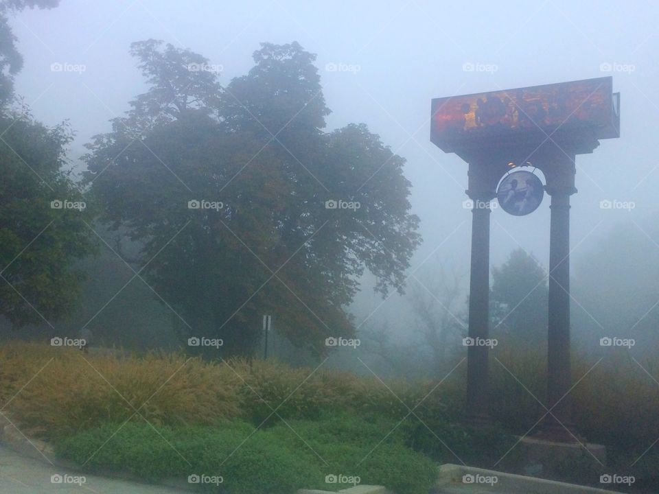Foggy Day in Druid Hill Park