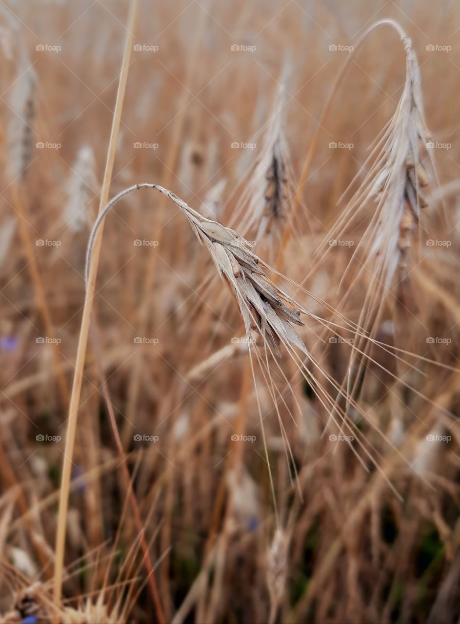 love this image its peaceful