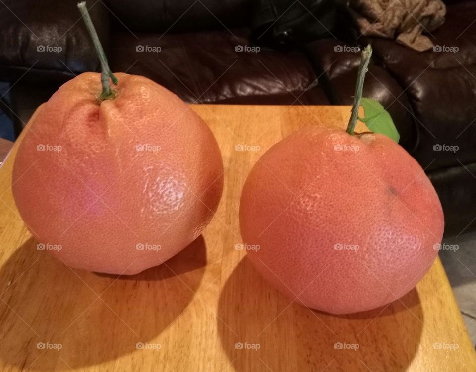 home grown red juicy grapefruit