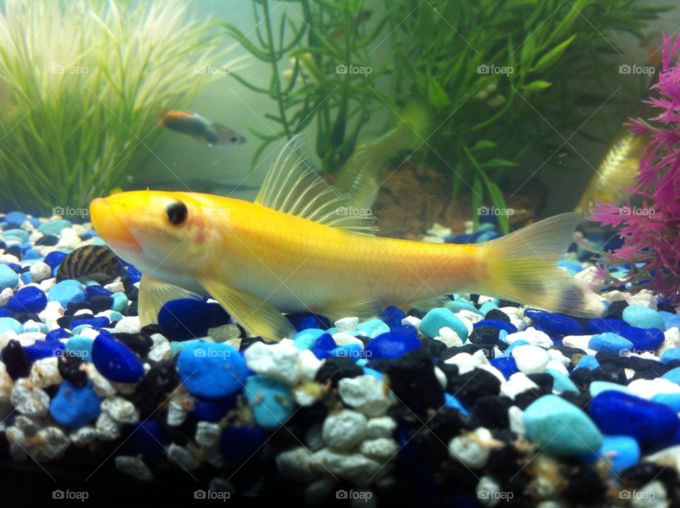 spring summer fun water by dodgercraz