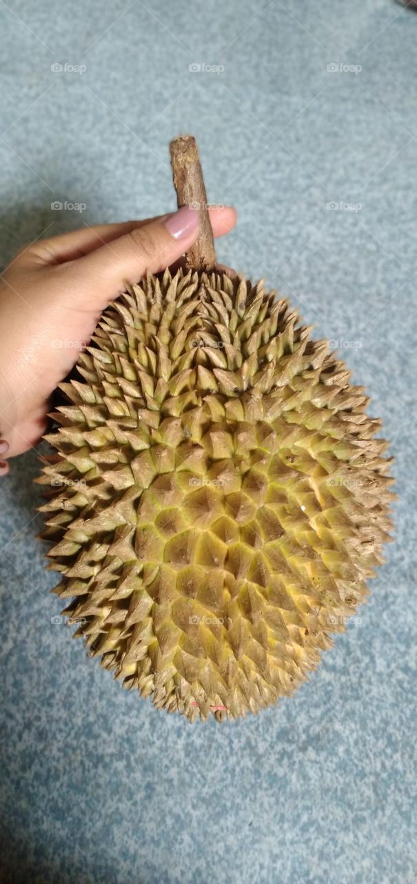 Durian