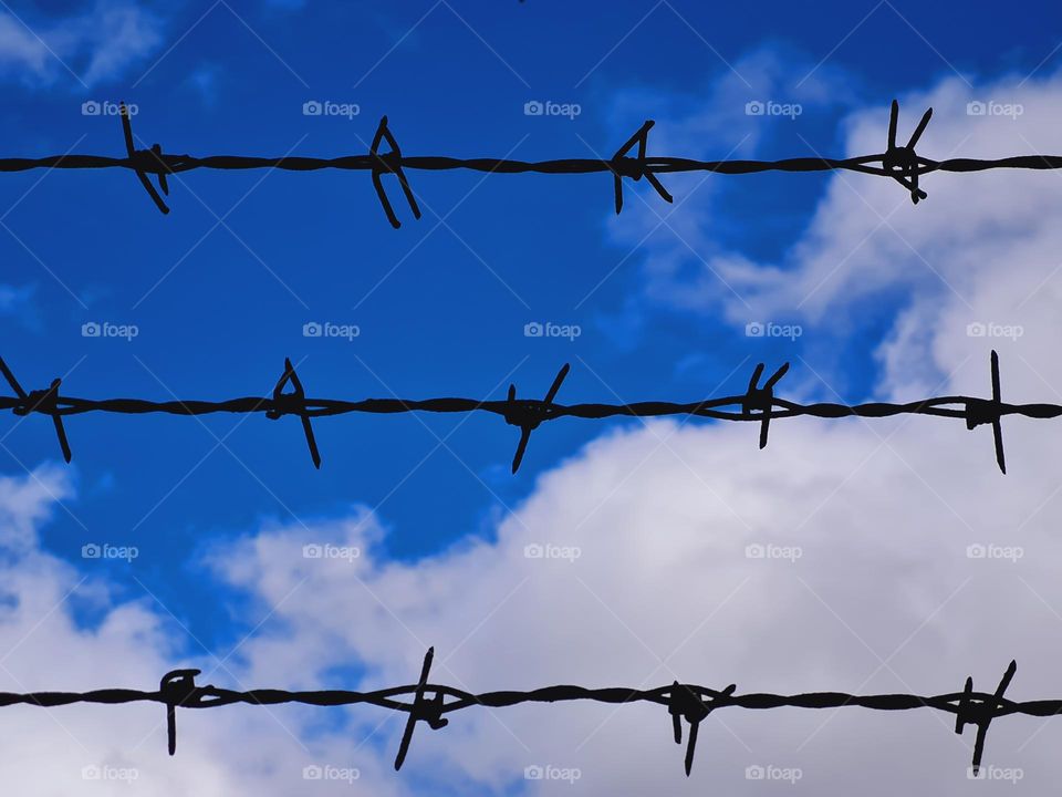 cloudy sky over the barbed wire