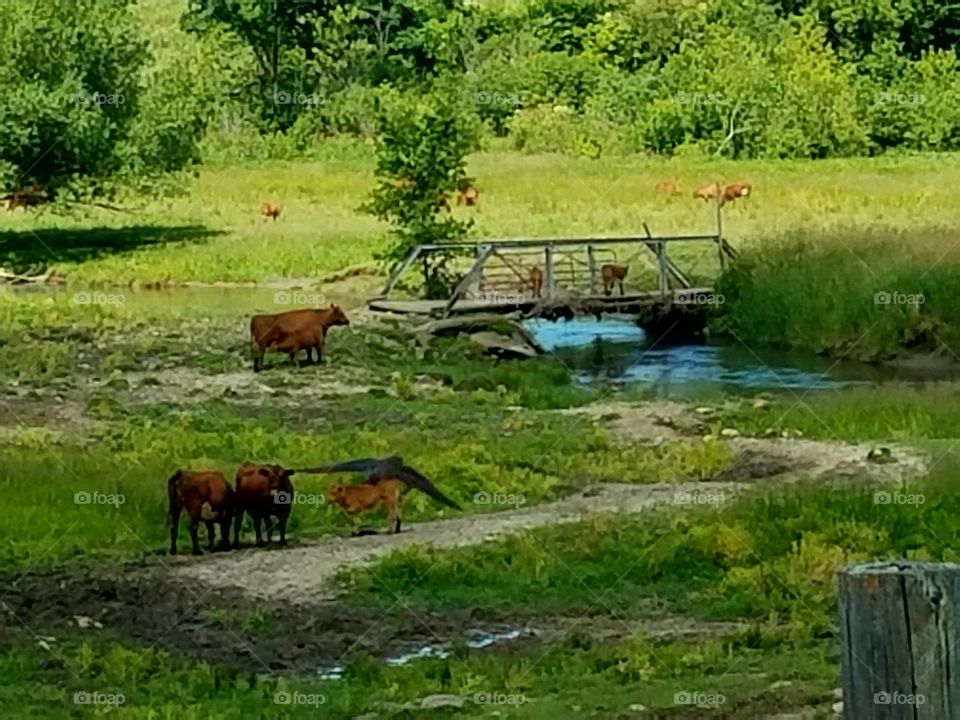 Driving the Back Roads and enjoying everything around us