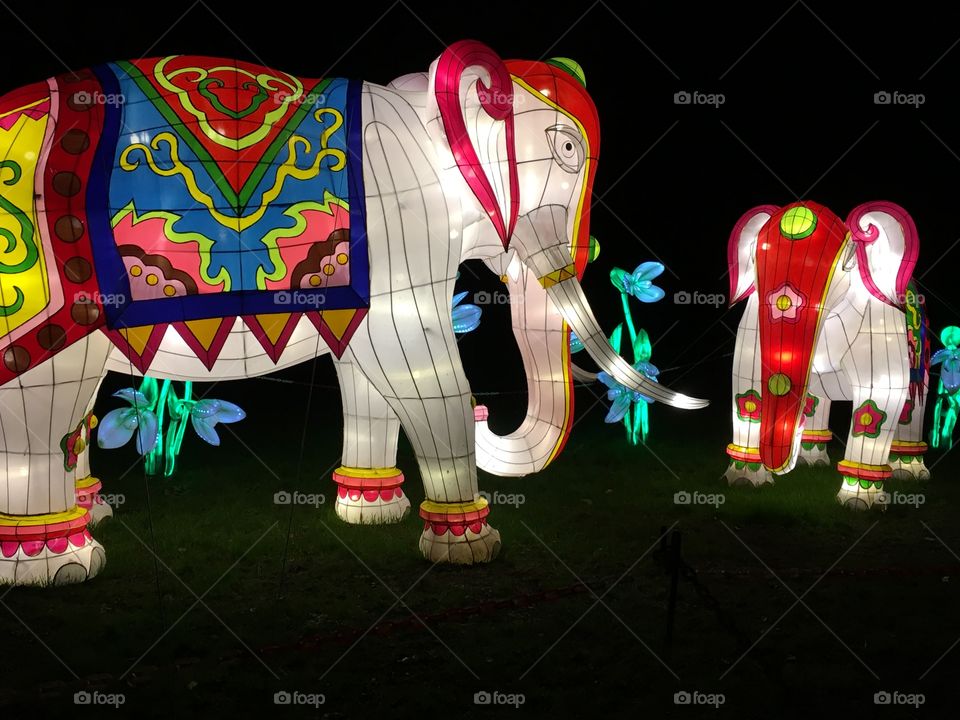 Chinese lantern festival elephants 
