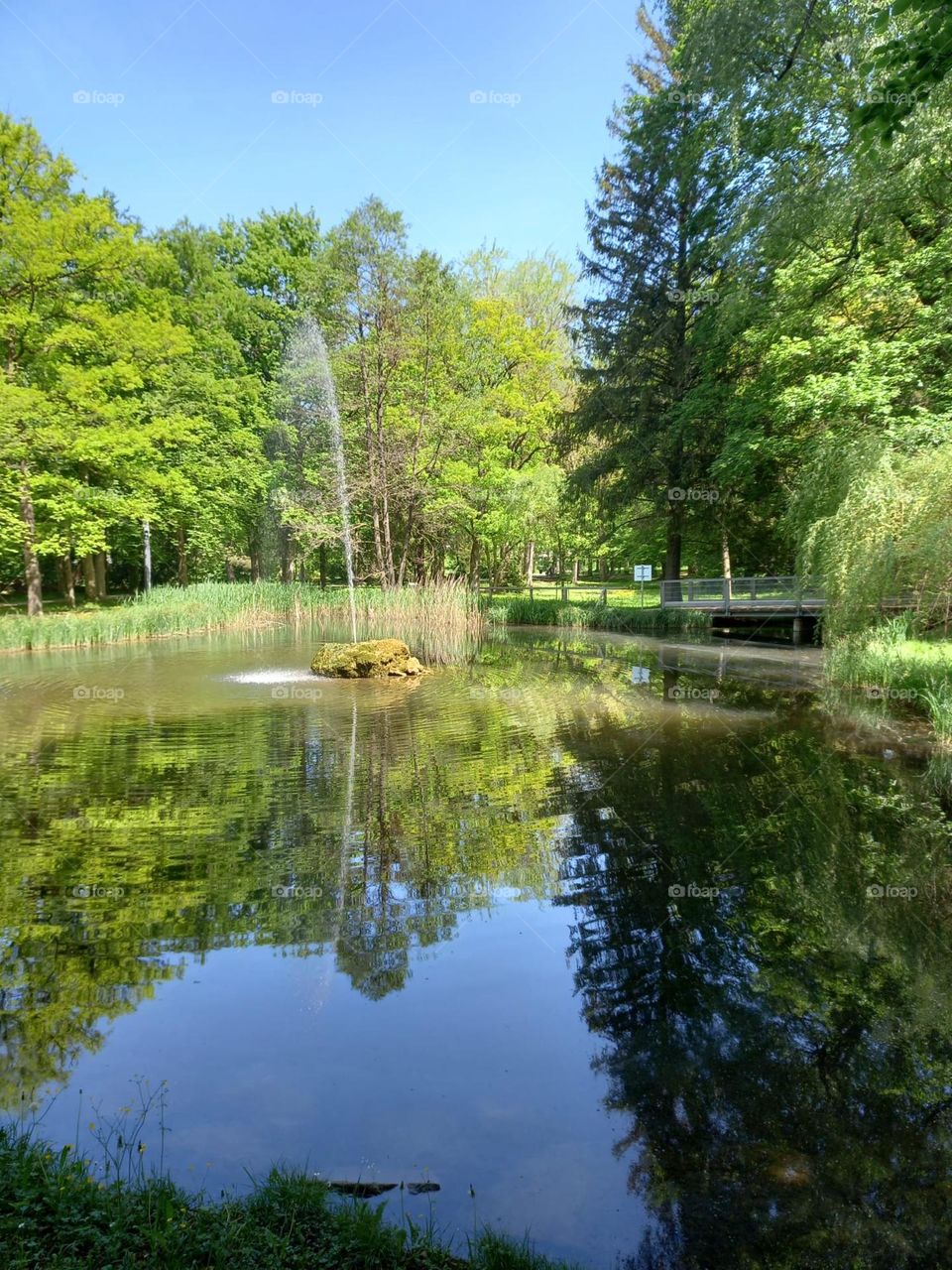 A Spring Day at the Park
