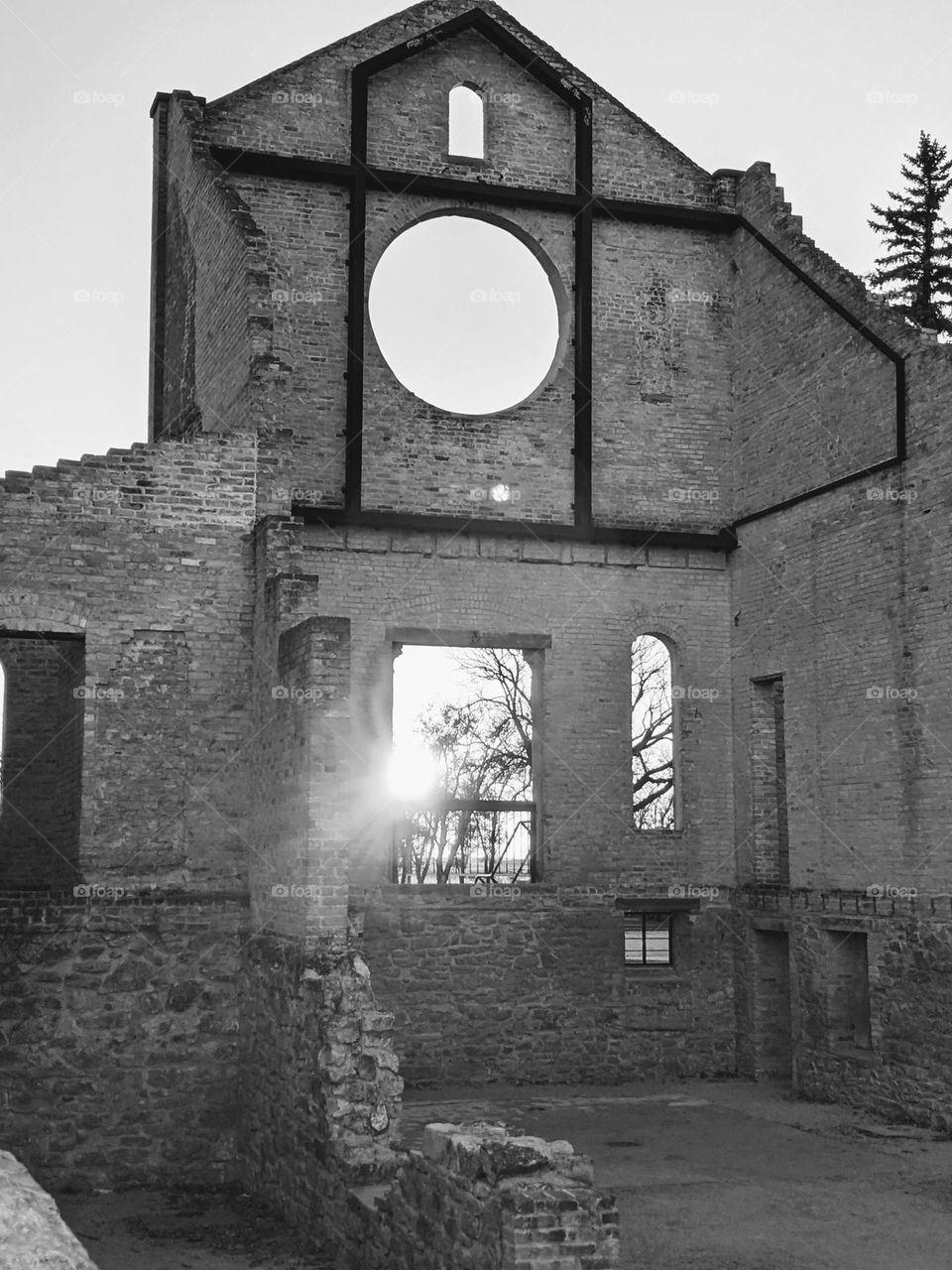 Trappist monastery runes