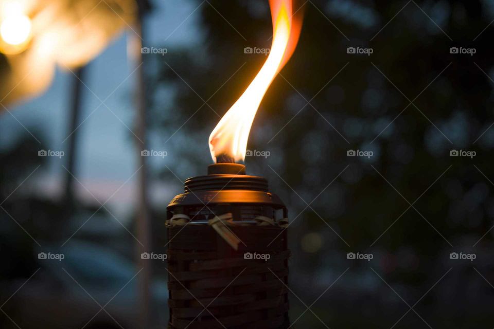 a photo of the flame high quality