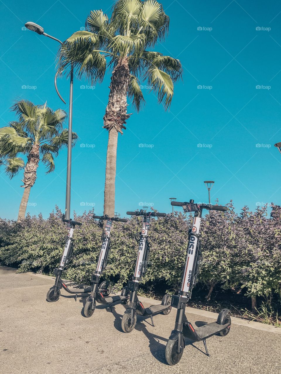 4 electric scooters for hire on the seaside promenade on a bright sunny day on a background of palm trees