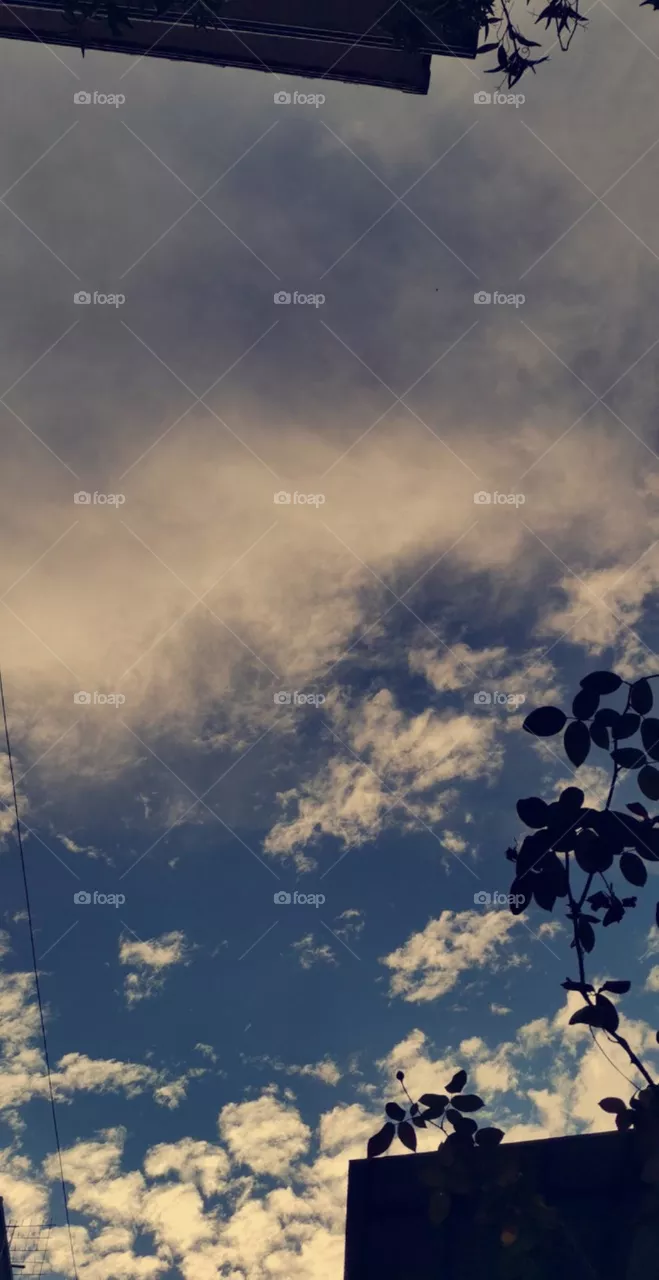 Sky