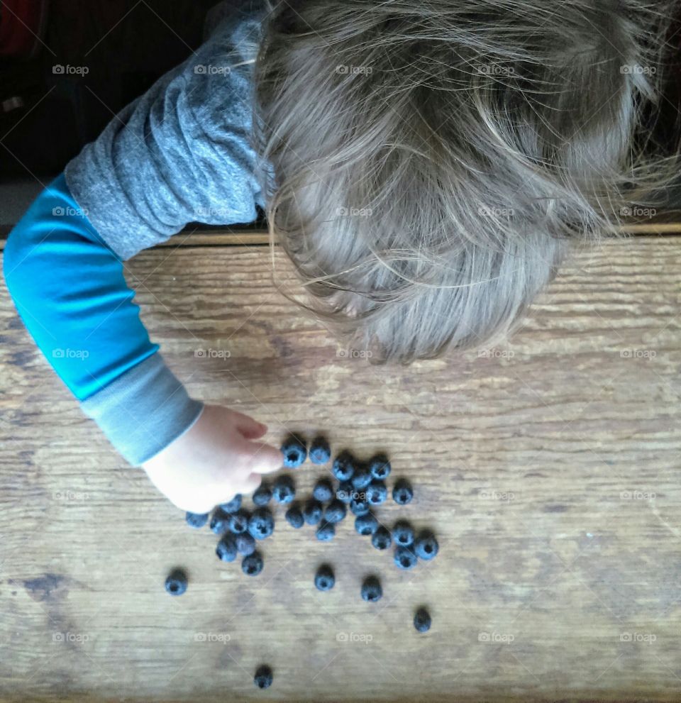 Blueberry Snack