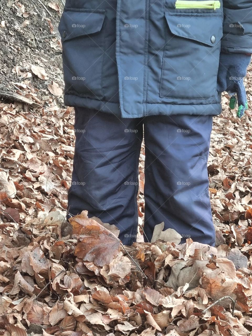 when you dive into the leaves