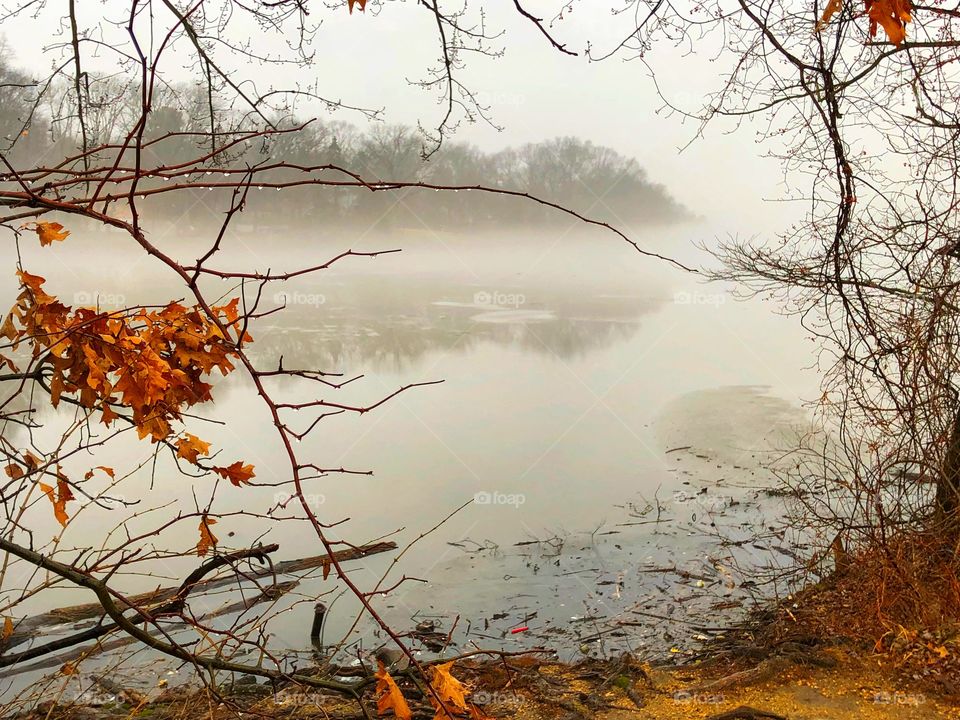 A cool winter morning as the fog slowly starts to cover Lake Carnegie! 