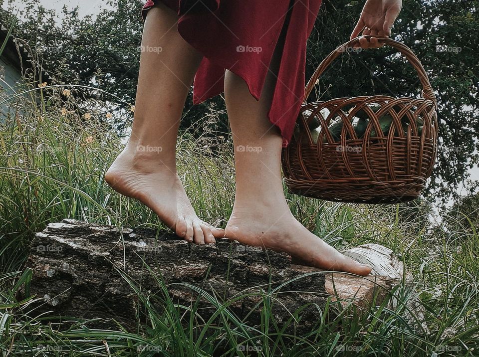 Сезонне збирання овочів