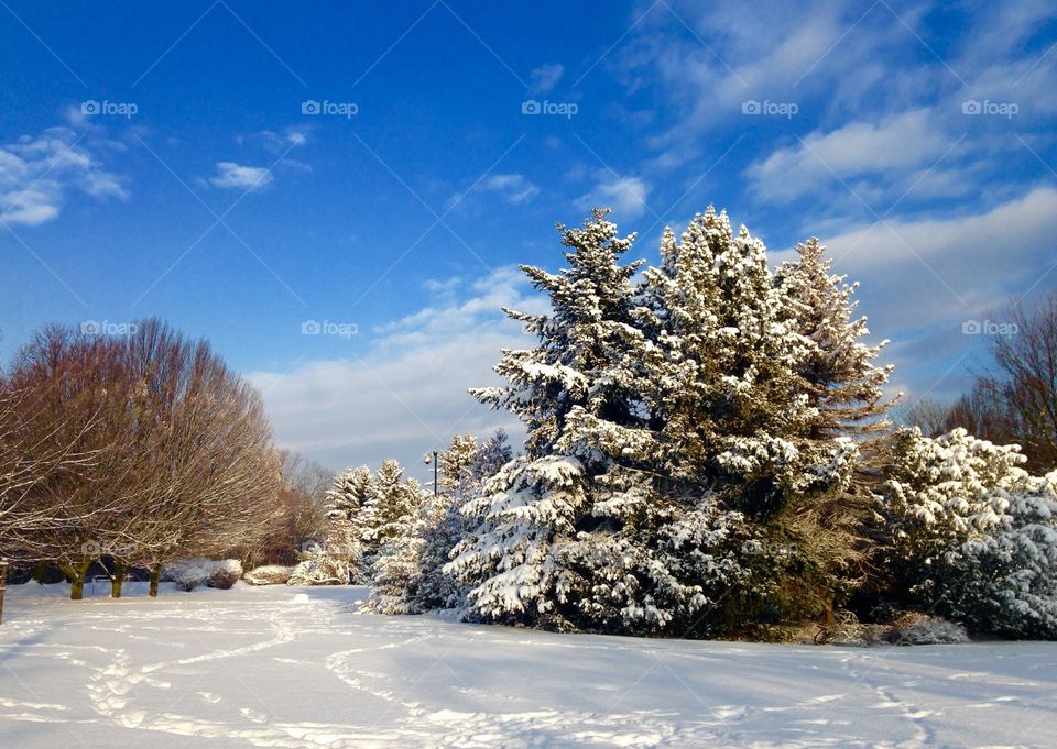 Winter in poland 