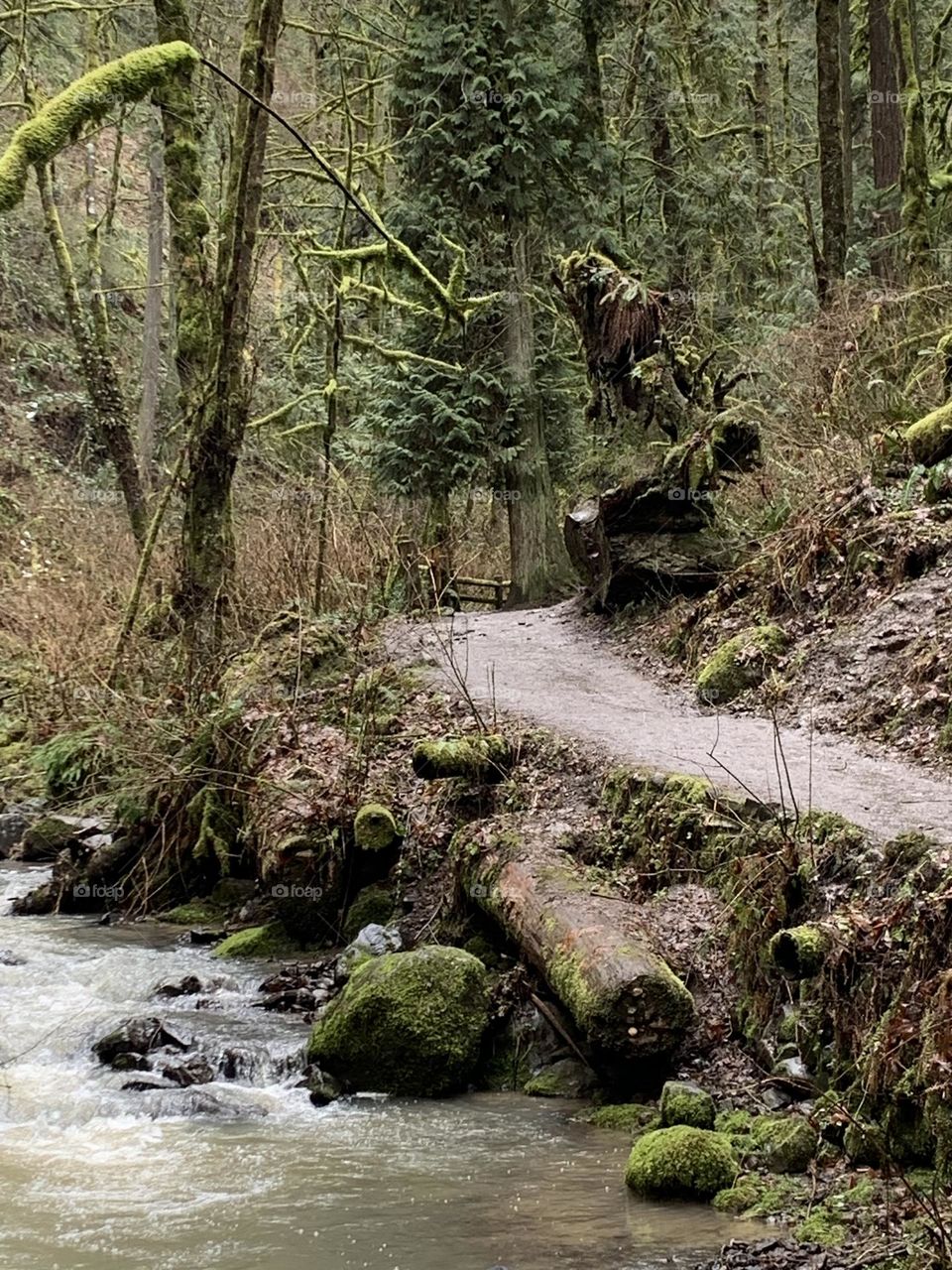 Great trails in Oregon beauty