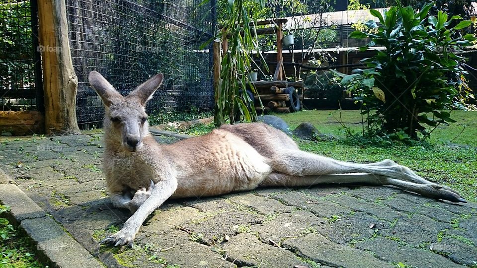 now I call that sexy!