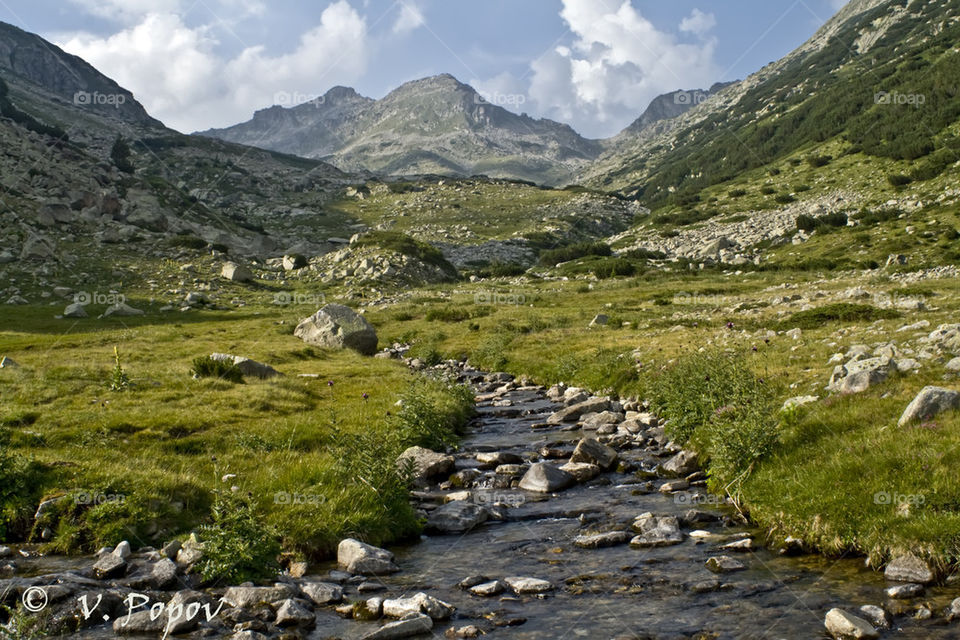 Alpine scenery