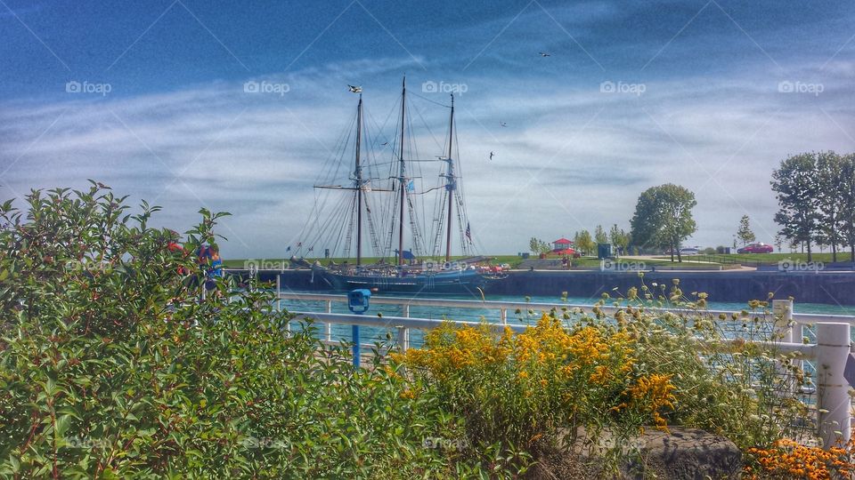 Schooner in Port