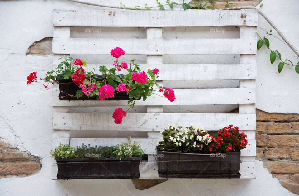 garden pallets. pallets used in gardening