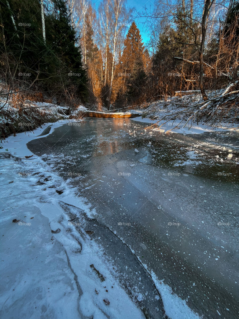 Winter landscape at sunny cold day