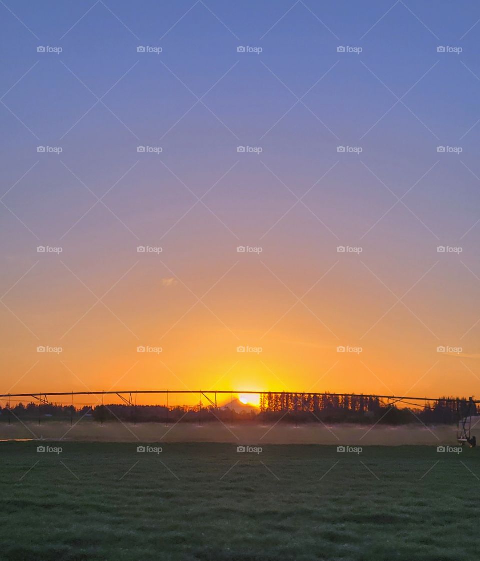 watering the crops at dawn