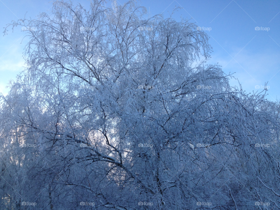 snow winter sky blue by jenahl