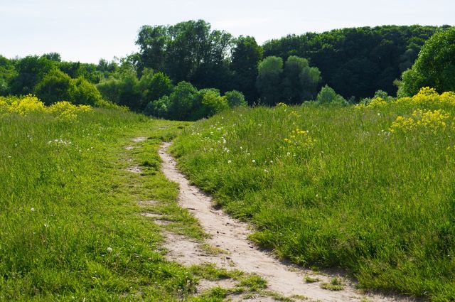 Path
