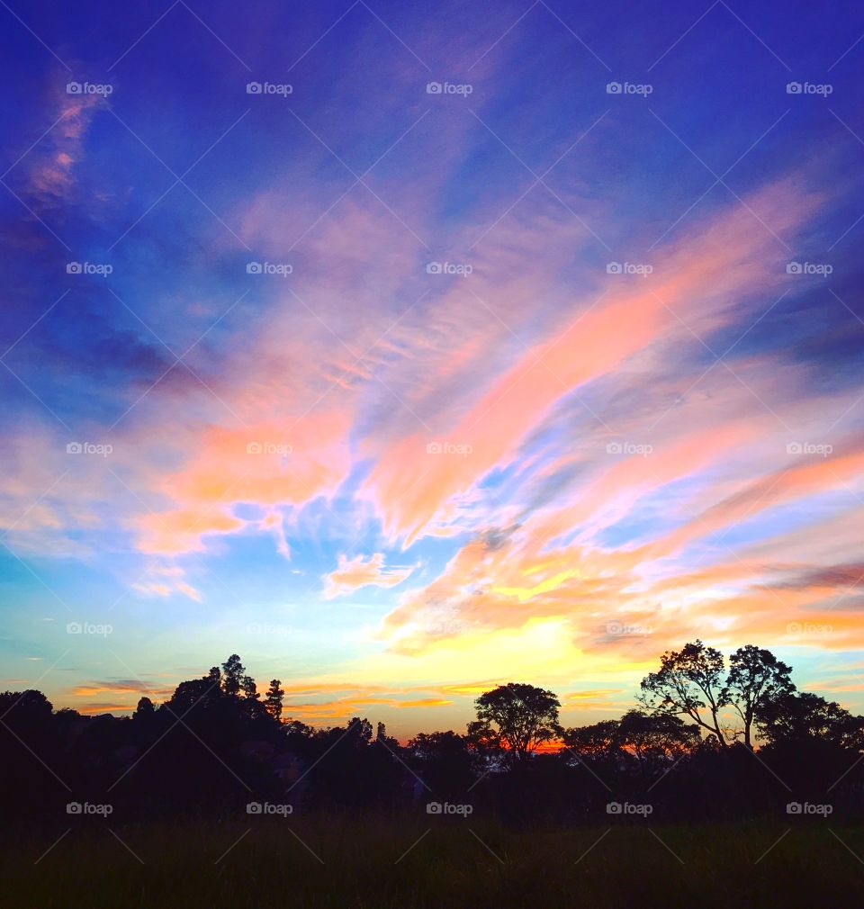 06h30 - Desperta, #Jundiaí!
Ótima 5a feira a todos nós.
🍃
#sol
#sun
#sky
#céu
#photo
#nature
#manhã
#morning
#alvorada
#natureza
#horizonte
#fotografia
#paisagem
#inspiração
#amanhecer
#mobgraphia
#brazil_mobile
#FotografeiEmJundiaí