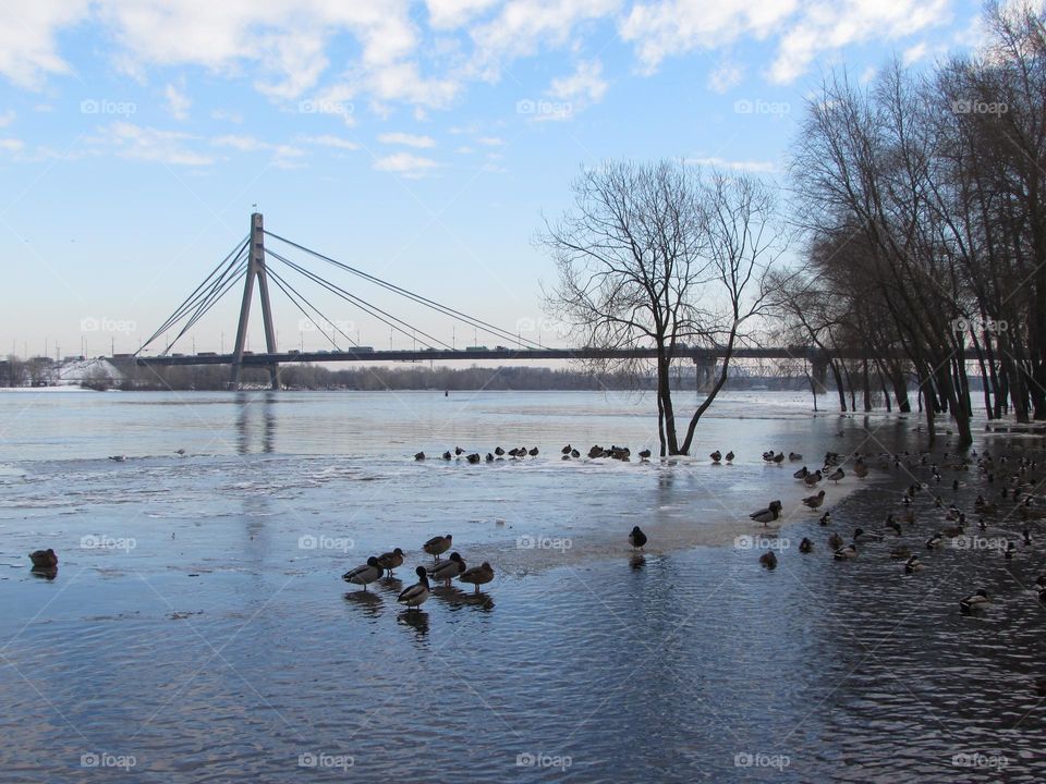 Bridge over frozen river