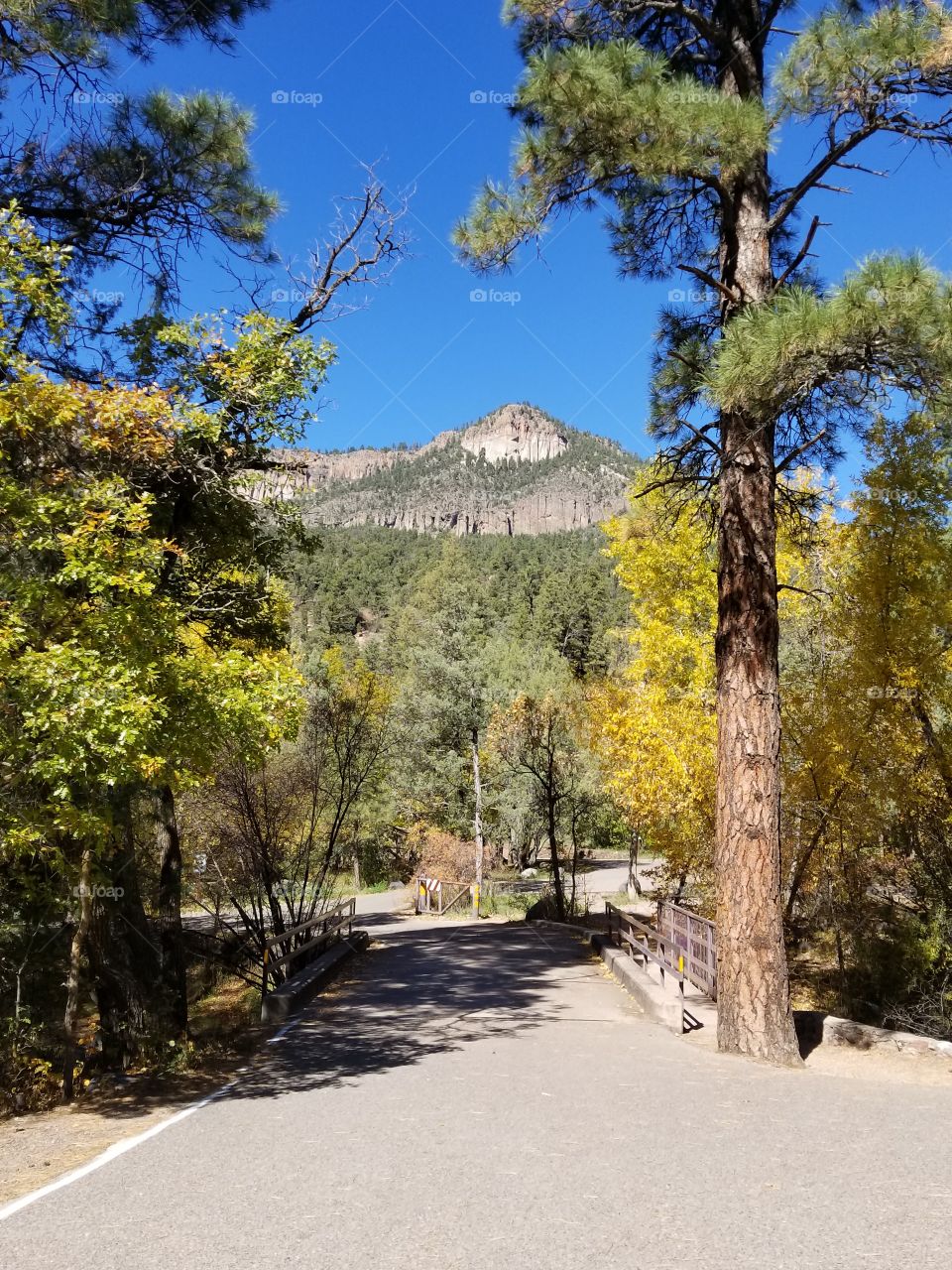 fall into the jemez