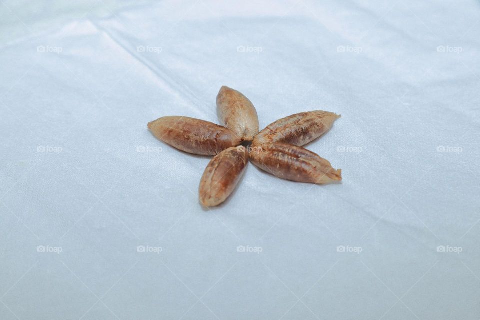 seed dates