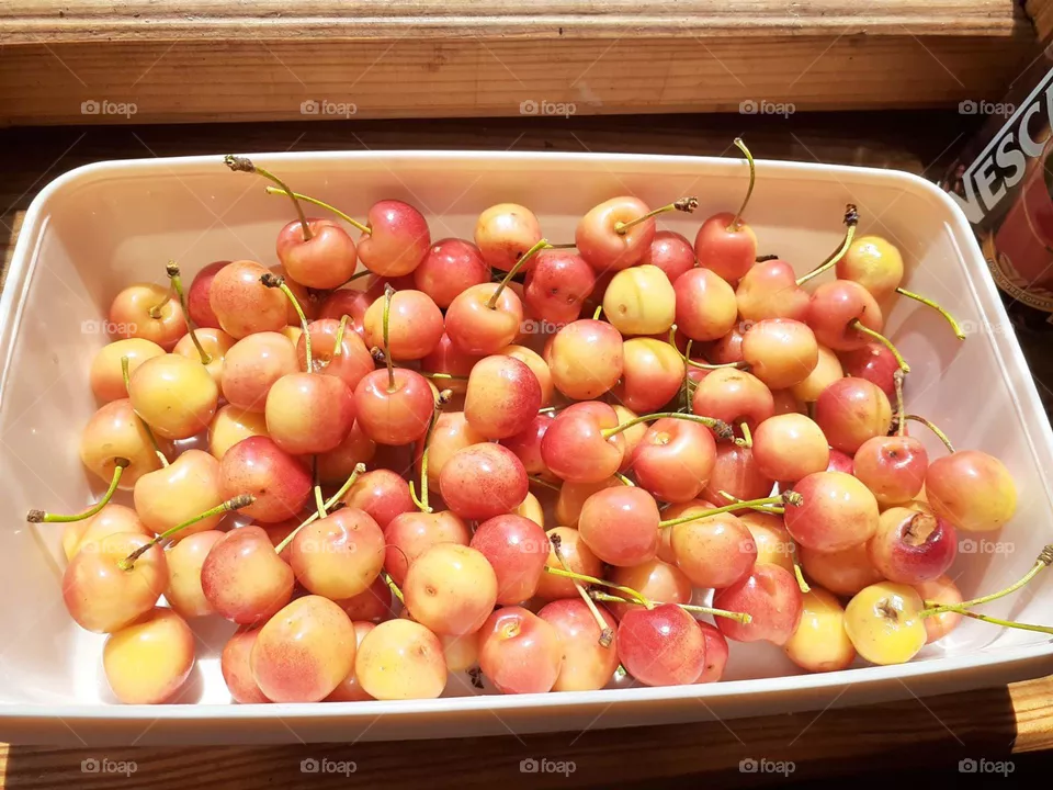 sunny cherries