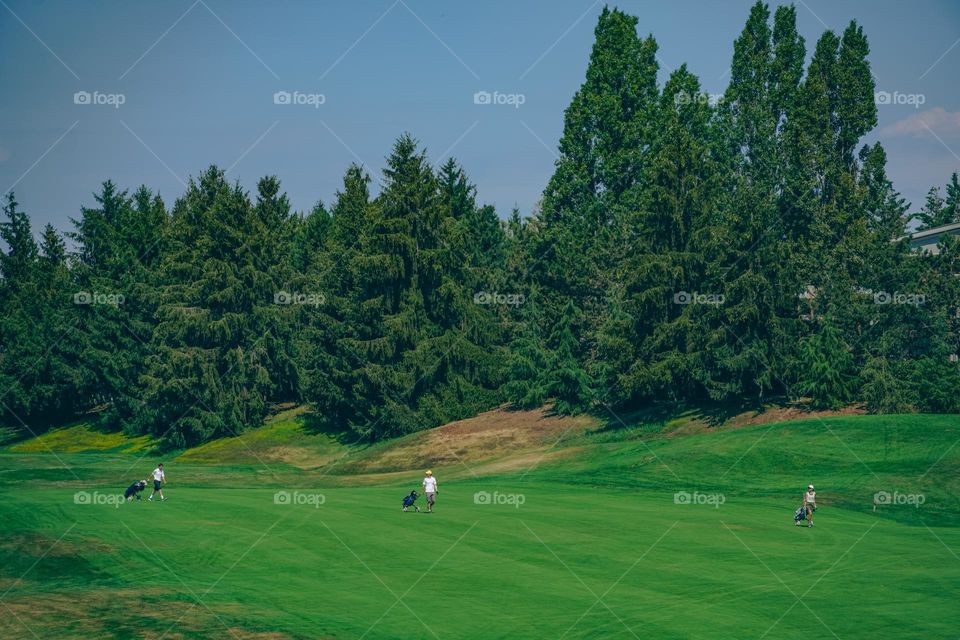 Playing golf on the green grass 