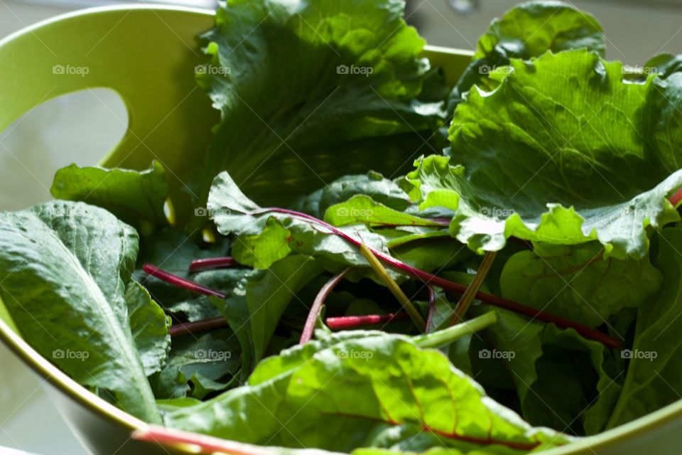 Low-angled view of garden-fresh mixed baby greens in green colander in natural light