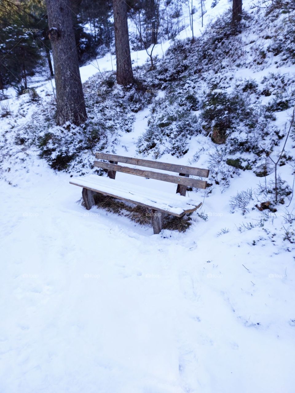 Bench on a Trail in the Mountains
