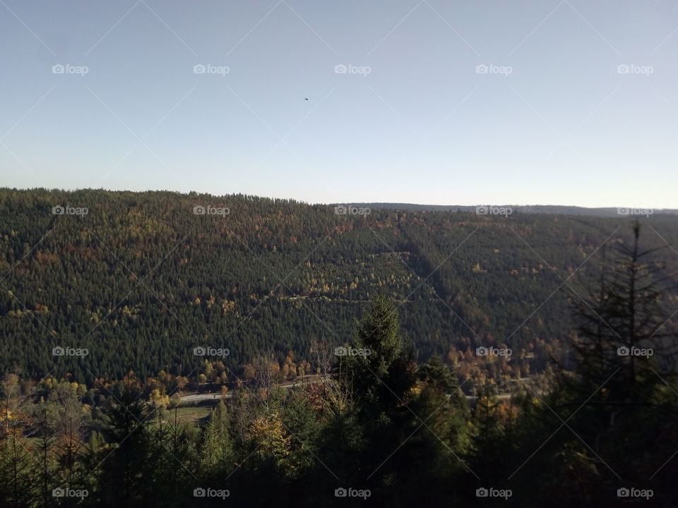 Autumn in the Black Forest